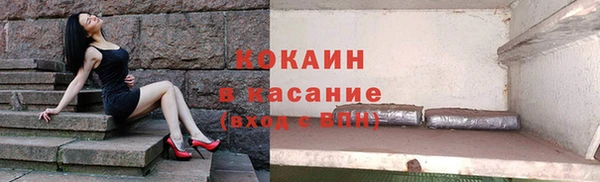 хмурый Белокуриха