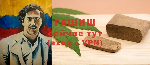 хмурый Белокуриха