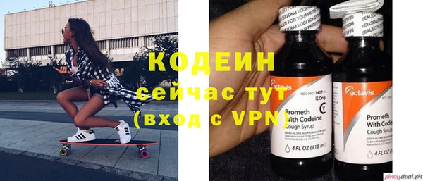 хмурый Белокуриха