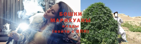 хмурый Белокуриха