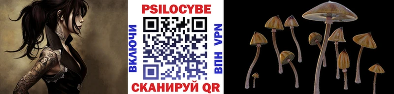 блэк спрут как зайти Энем Псилоцибиновые грибы Psilocybine cubensis